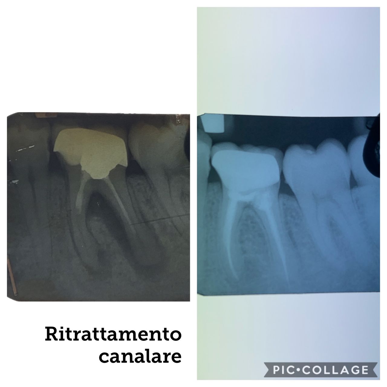 Maria Grazia Diaferia-8