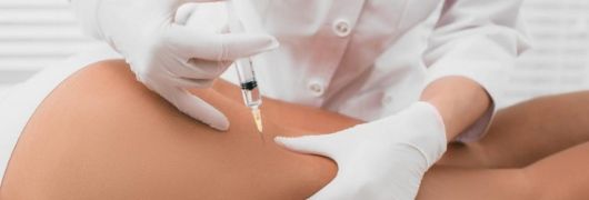 Rosa Pérez Parera-5