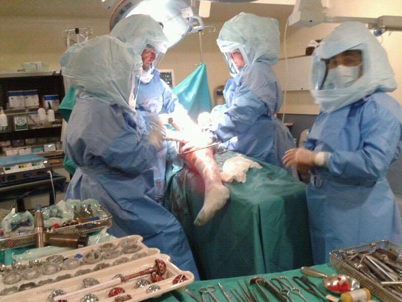 Gonzalo Menéndez Viñuela-2