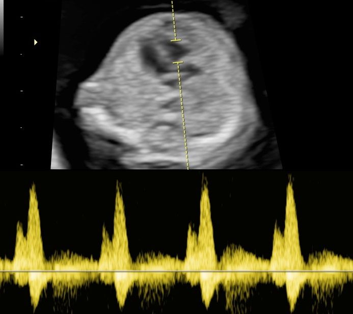 Joanna Krygowska-Zielińska-5