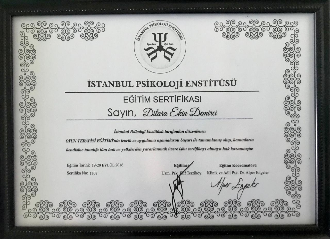 Dilara Ekin Demirci-16