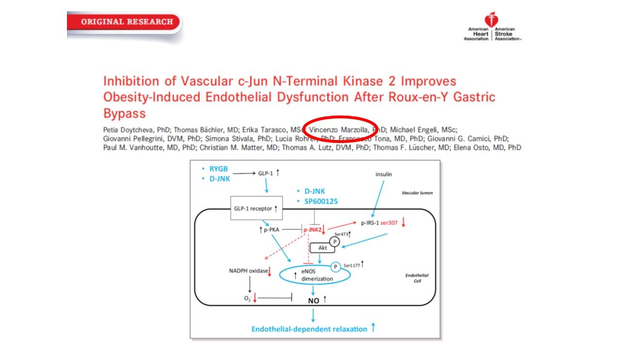 Vincenzo Marzolla-26