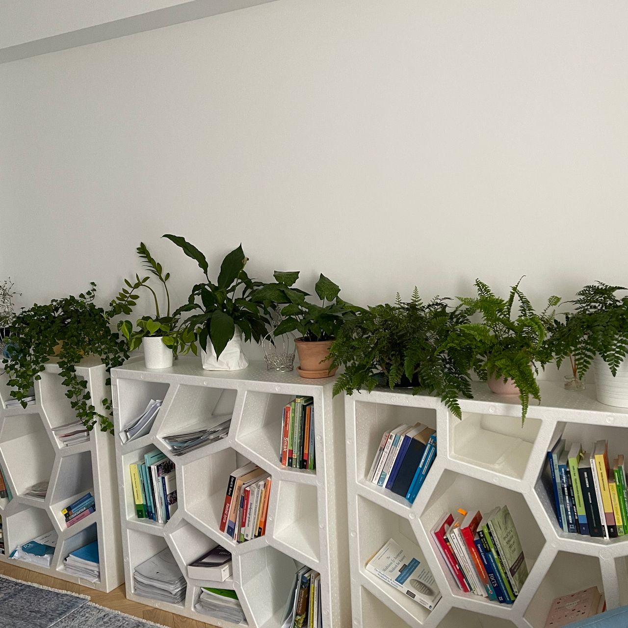 Vivian Natalia Fiszer-2