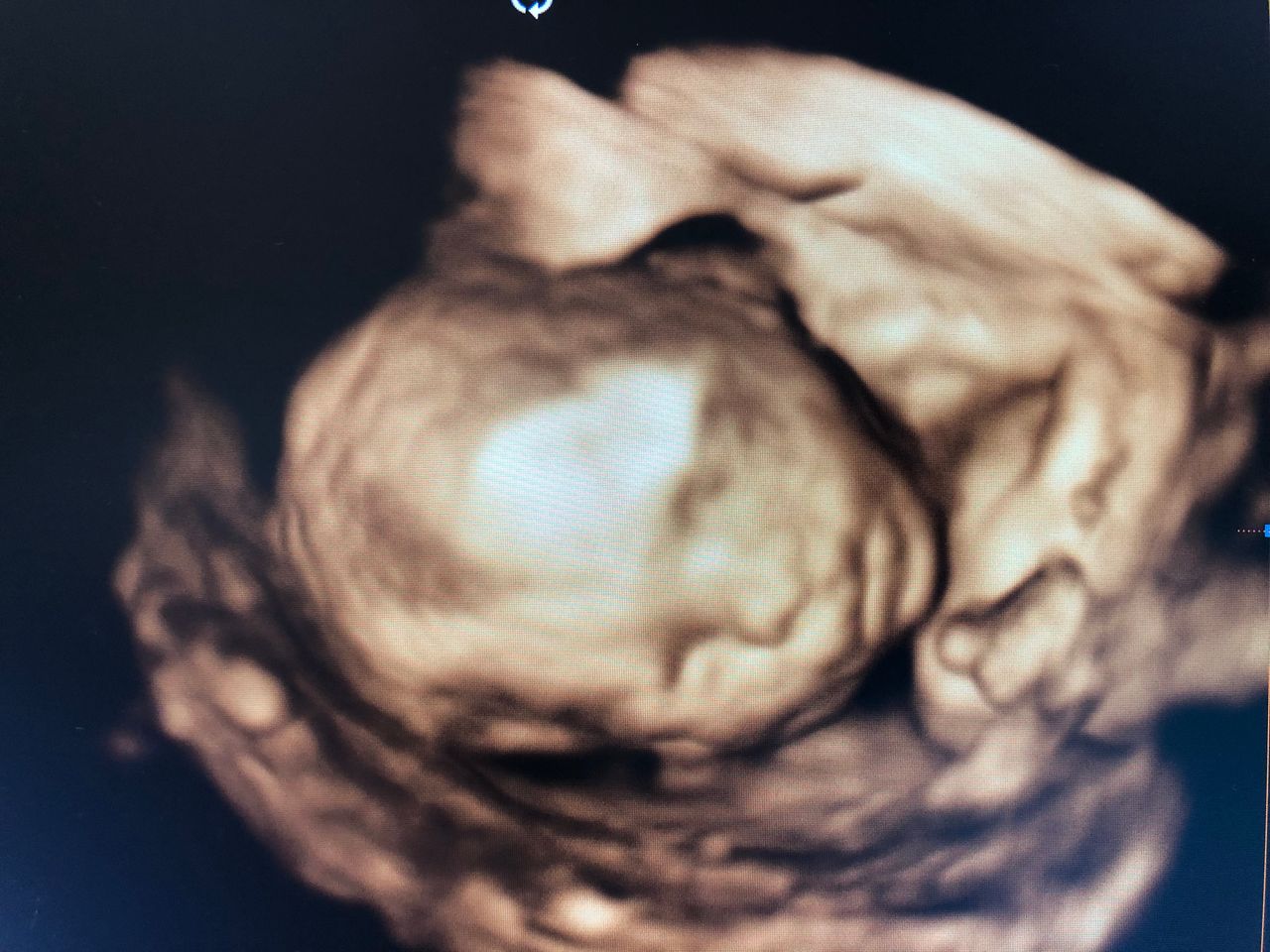 Mariella Amendolara-4