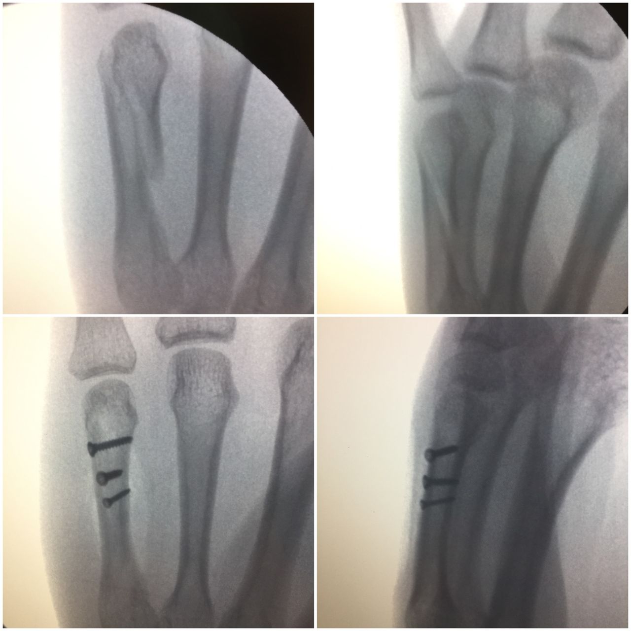 Lucian Lior Marcovici-9