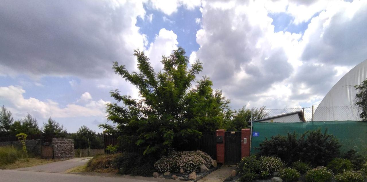 Agnieszka Nowakowska-2