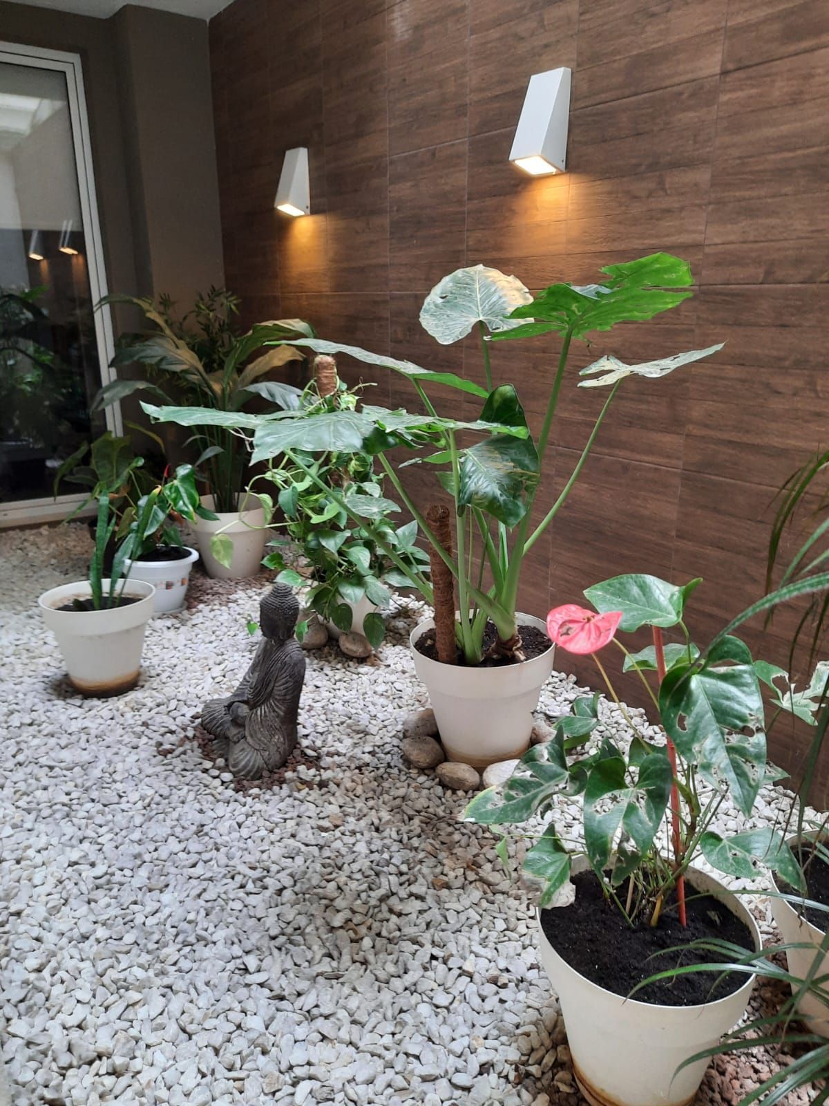 Pau Soldevila Matías-6