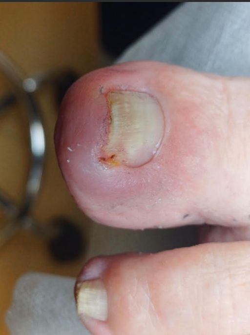 Halyna Strykharchuk -2