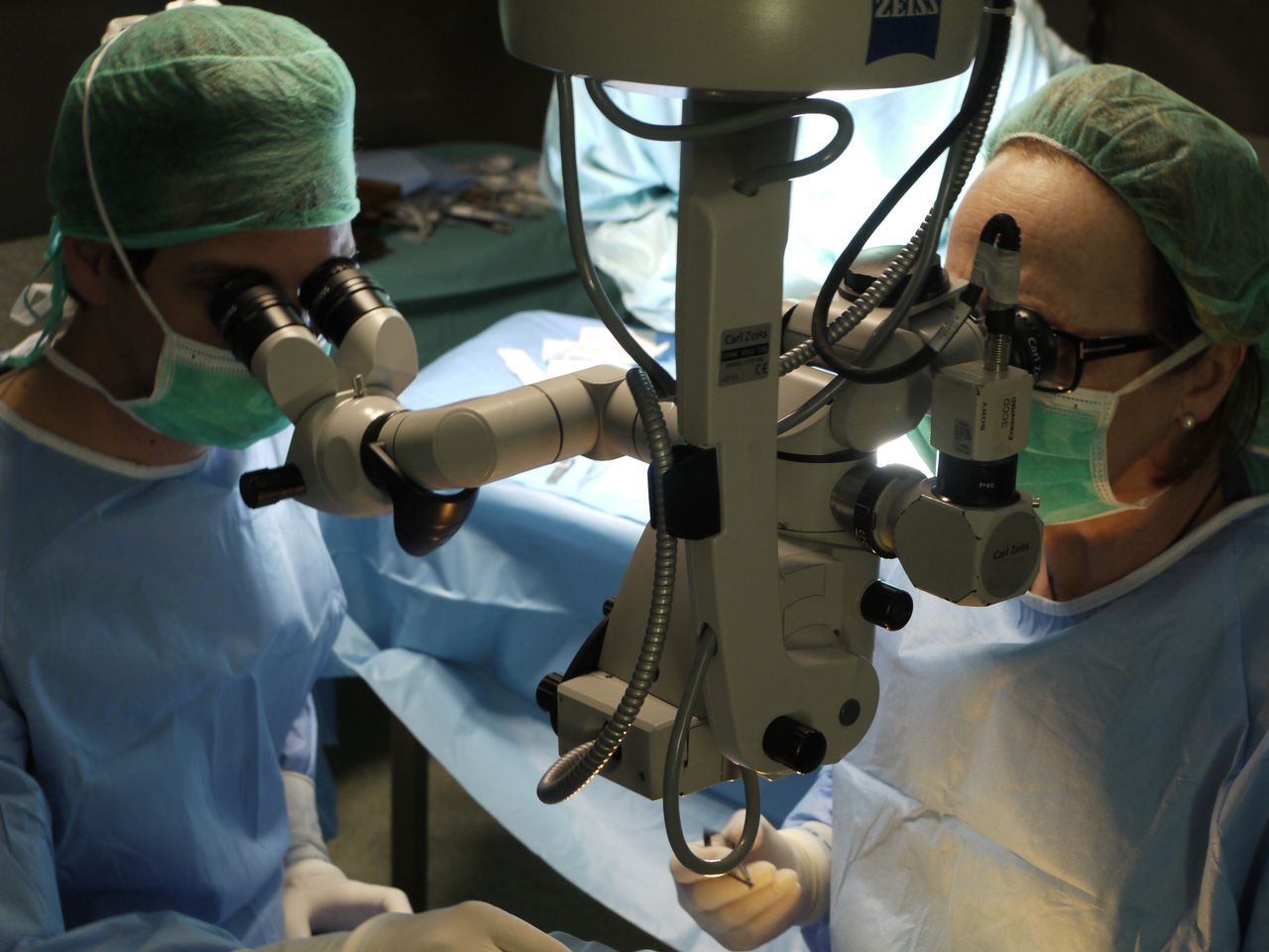 Alicia Serra Castanera-1