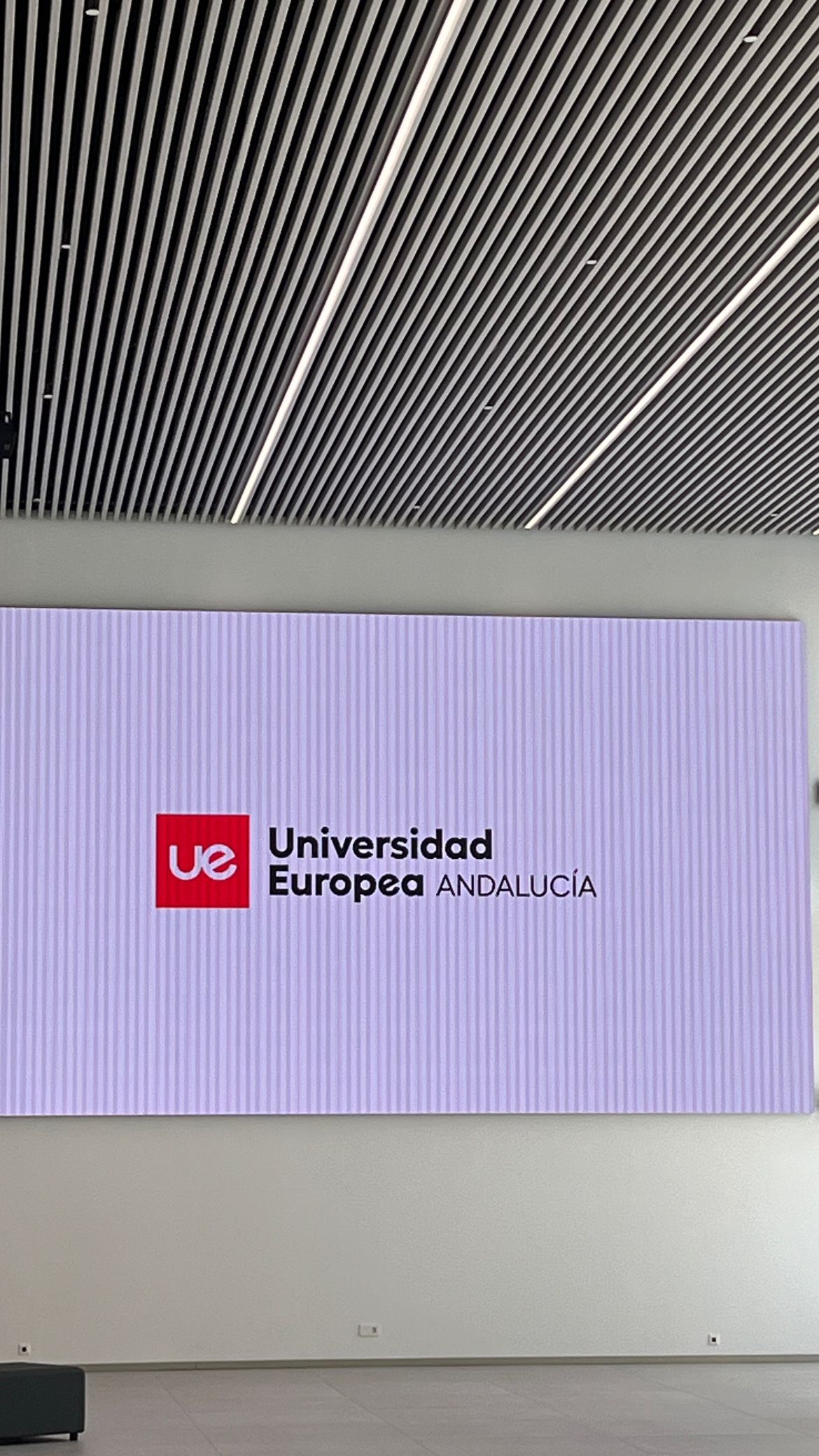 Luz Locatelli Dalimier-17