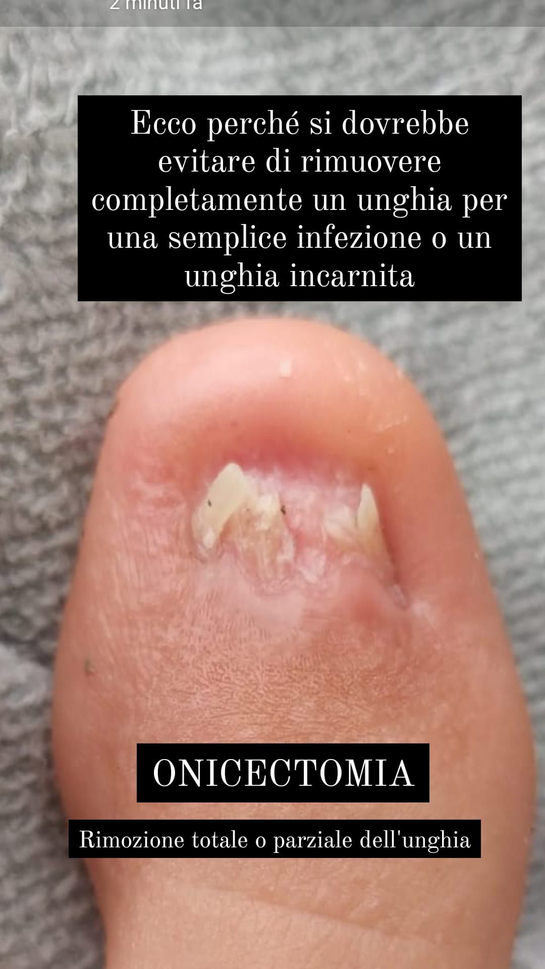 Kassandra Nicolosi-309