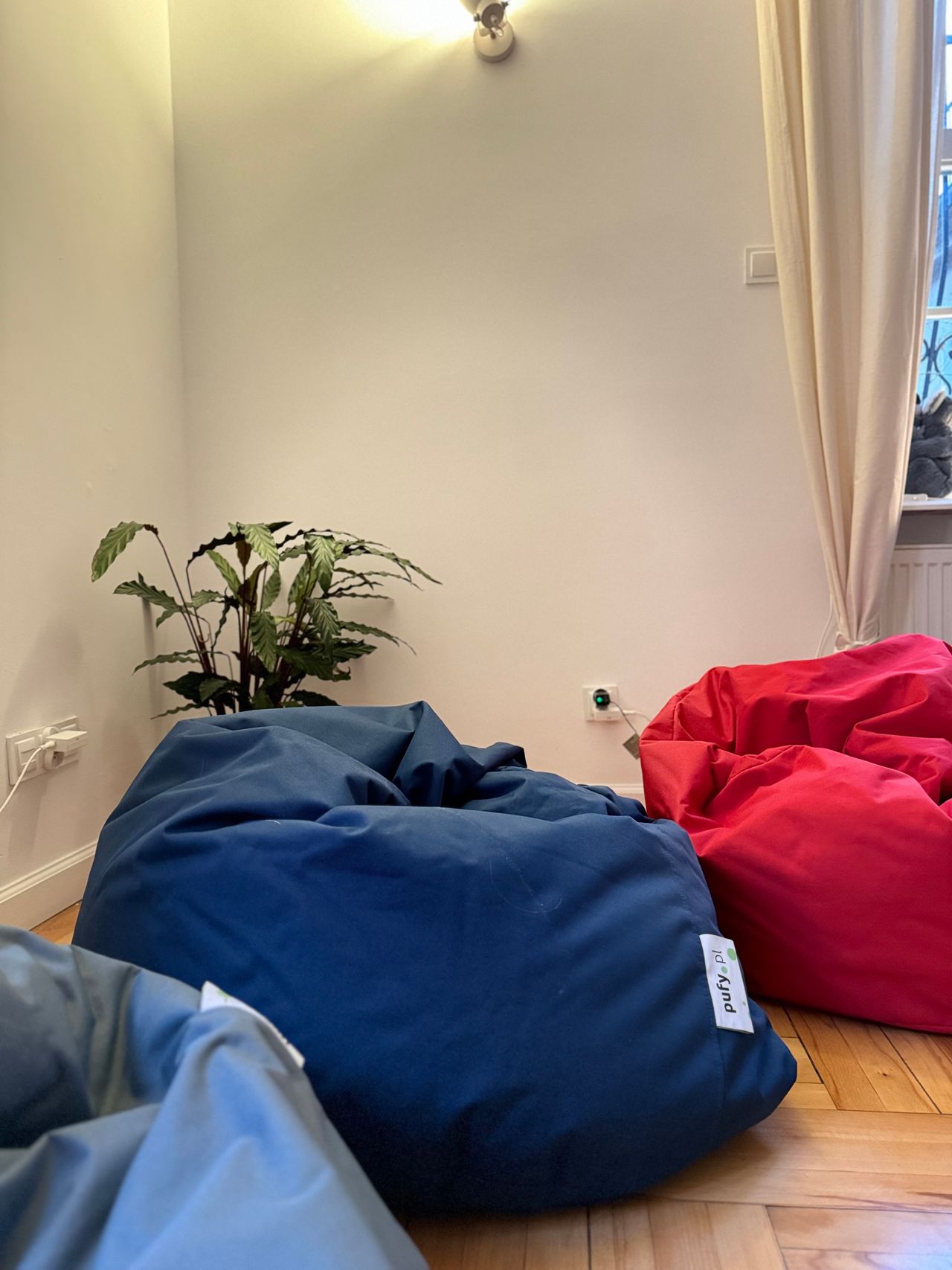 Agnieszka Gurzyńska-6