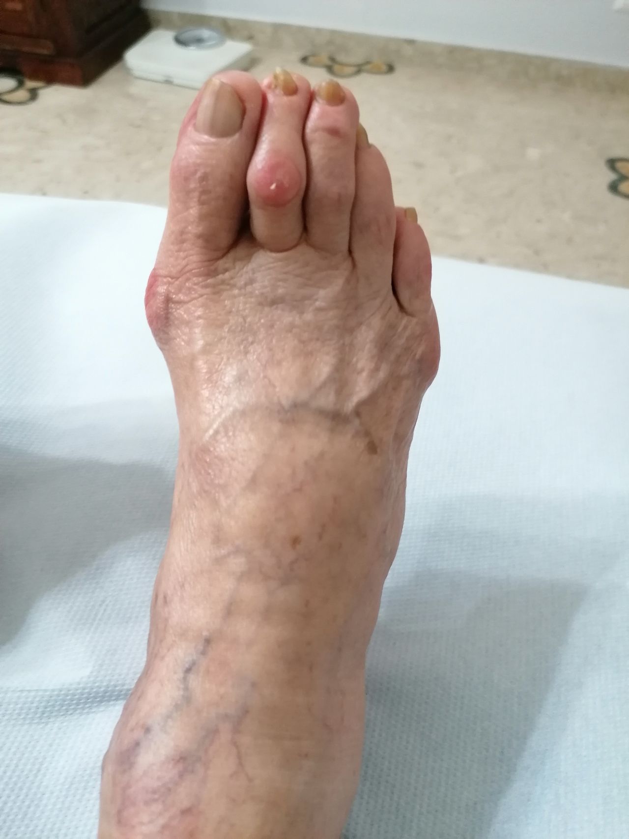 Kassandra Nicolosi-283