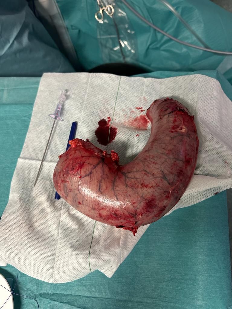 Óscar González López-7