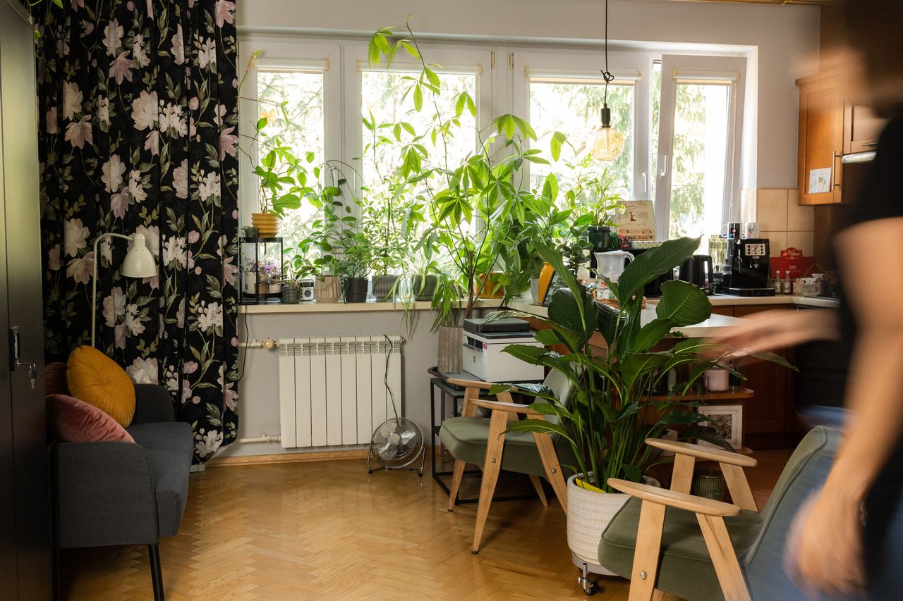 Magdalena Wysokińska-4