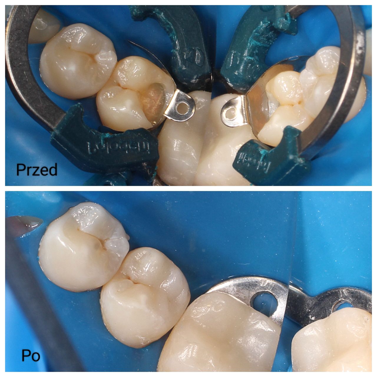 Aleksandra Bobrovskaya-13