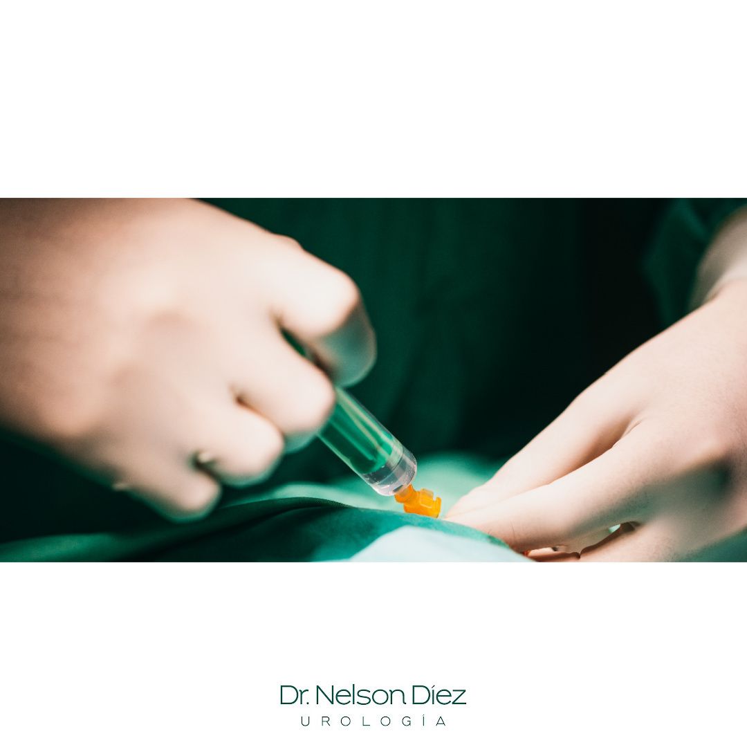 Nelson Diez Calzadilla-13