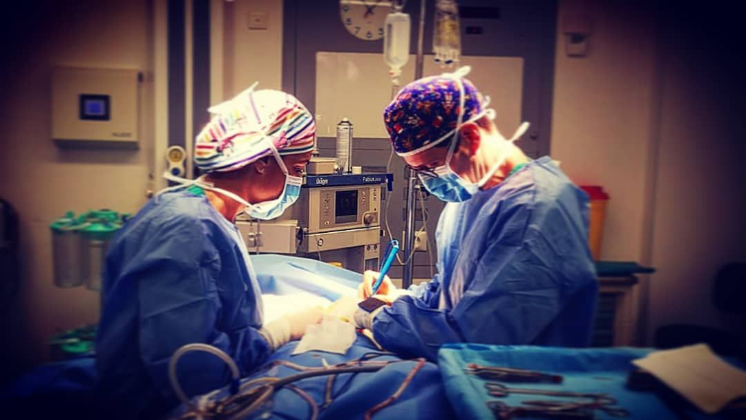 José María Triviño Fernández-9