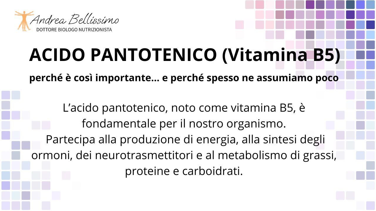 Bellissimo Andrea Rocco-11