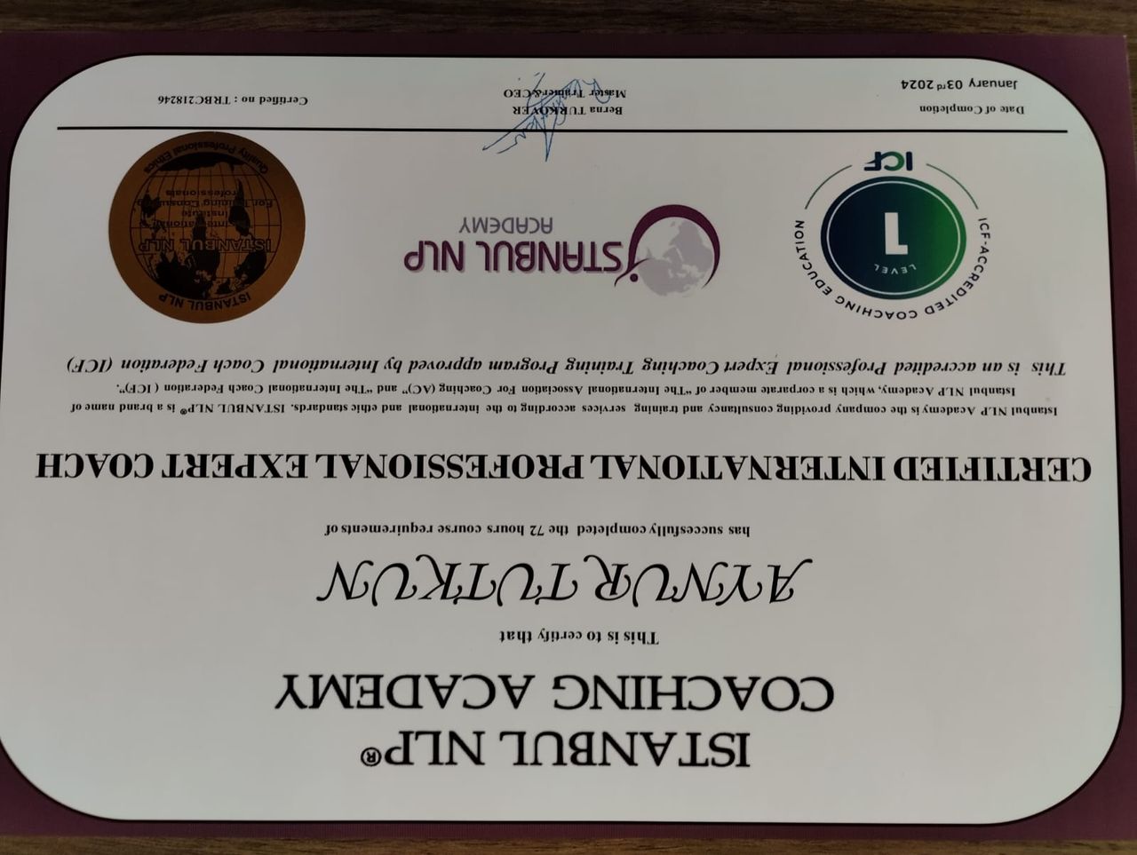 Aynur Erdoğanoğlu-15