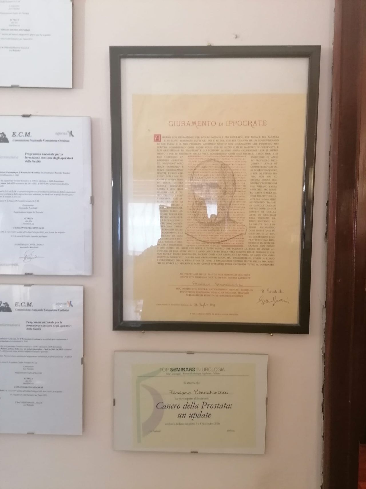 Famiano Meneschincheri-5