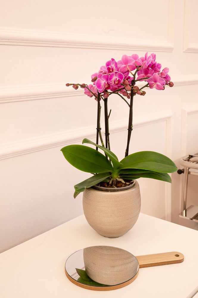 Montserrat Barriga Moreno-6