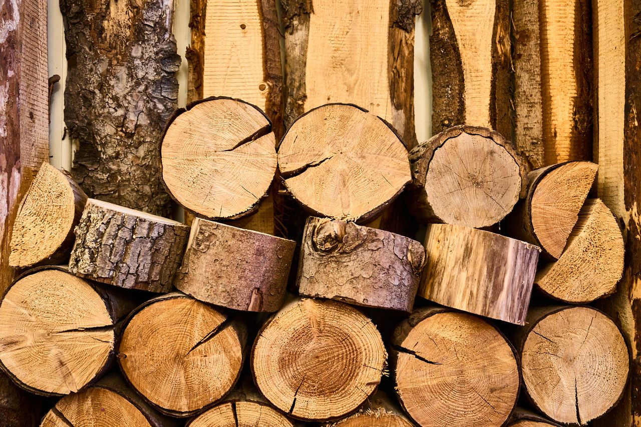 Christine Hübner-12