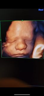 Domenico D'assisi-27