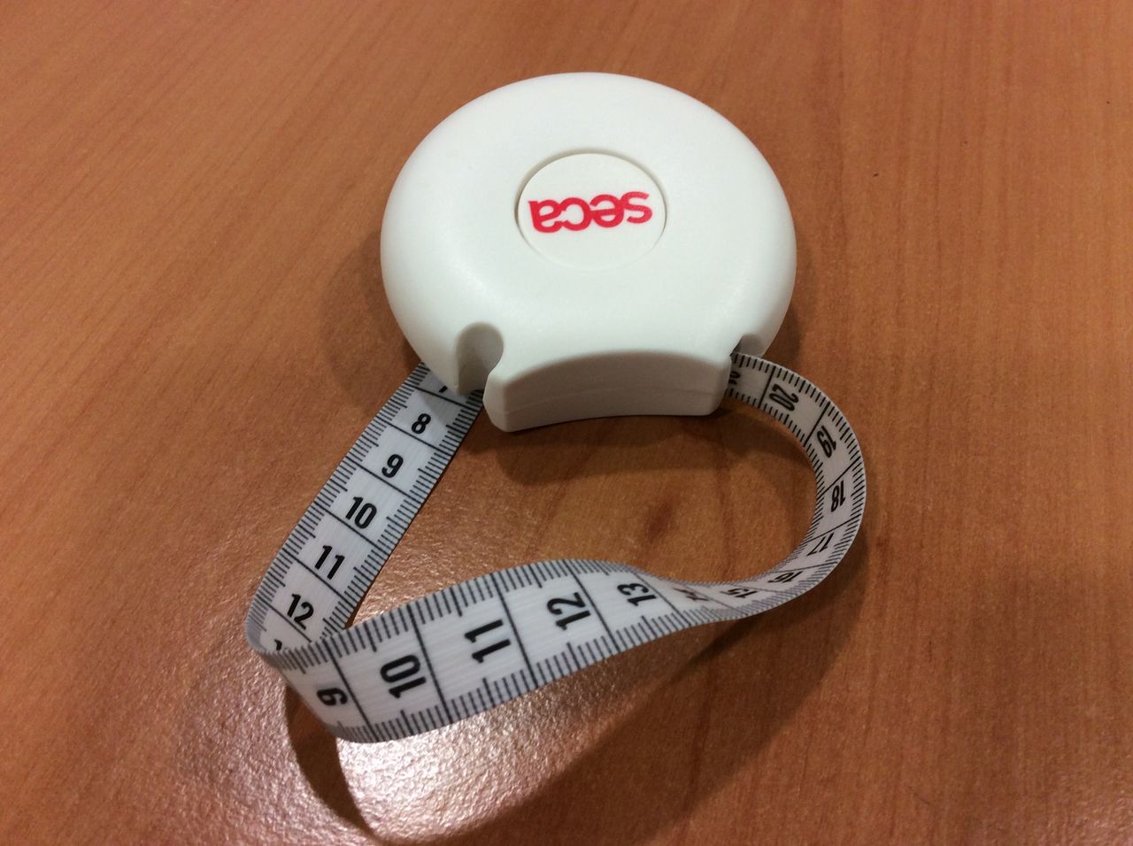 Lorenzo Traversetti-13