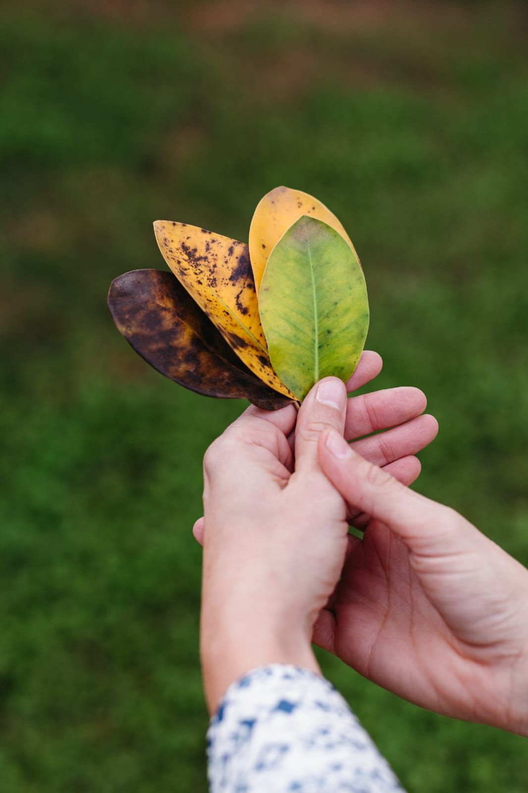 Cristina Ruiz Guerrero-3