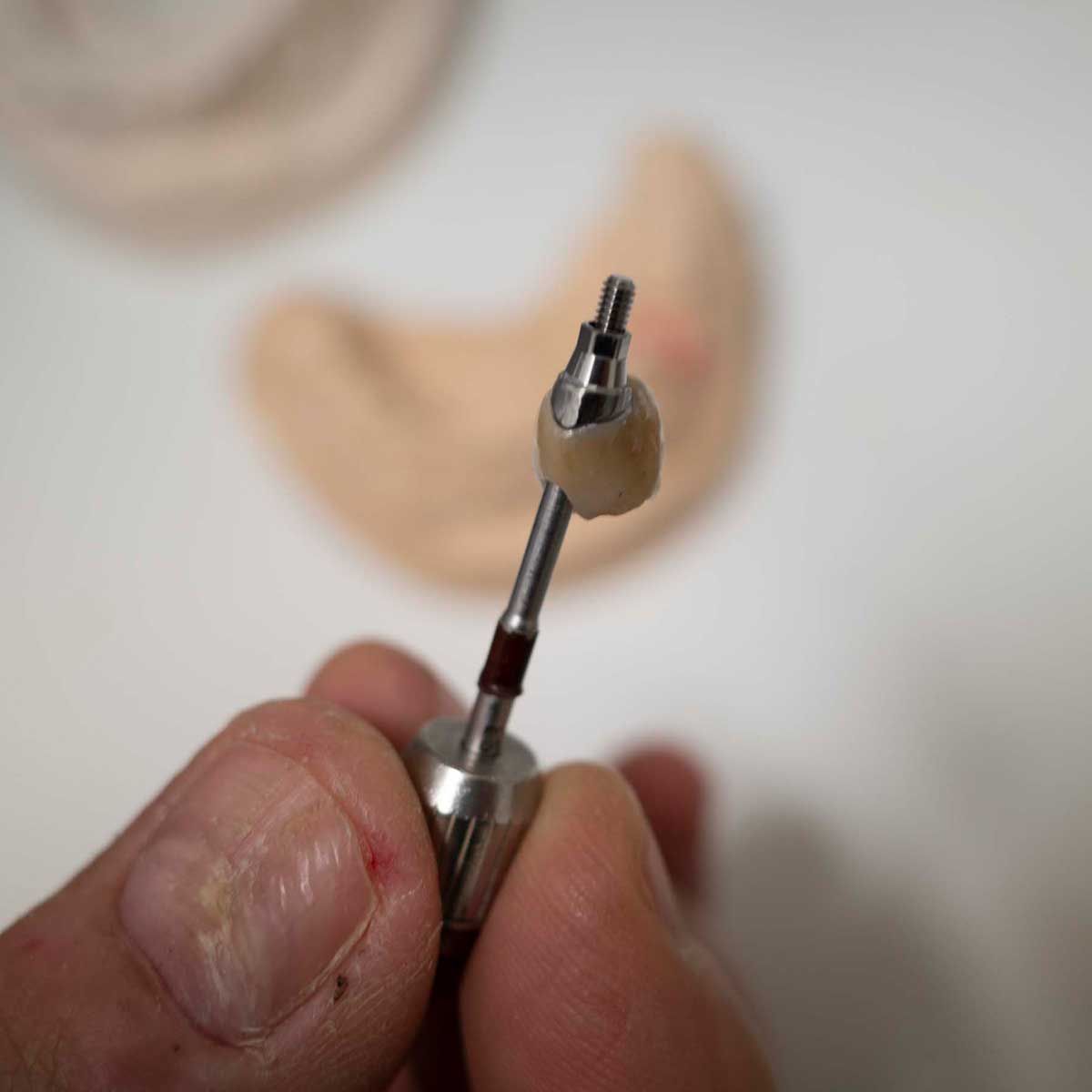 Gianluigi Bittante-13