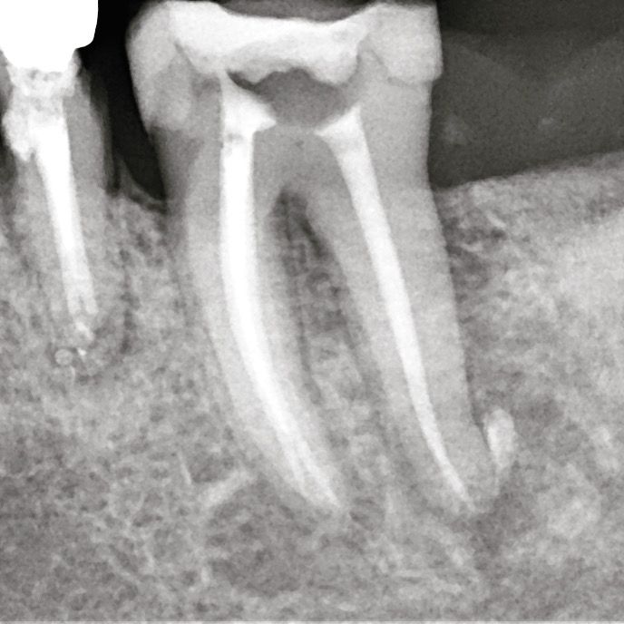 Dominika Witkowska-Pszczoła-17