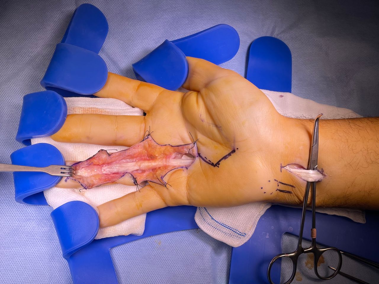 Jose Manuel Perez Alba-7