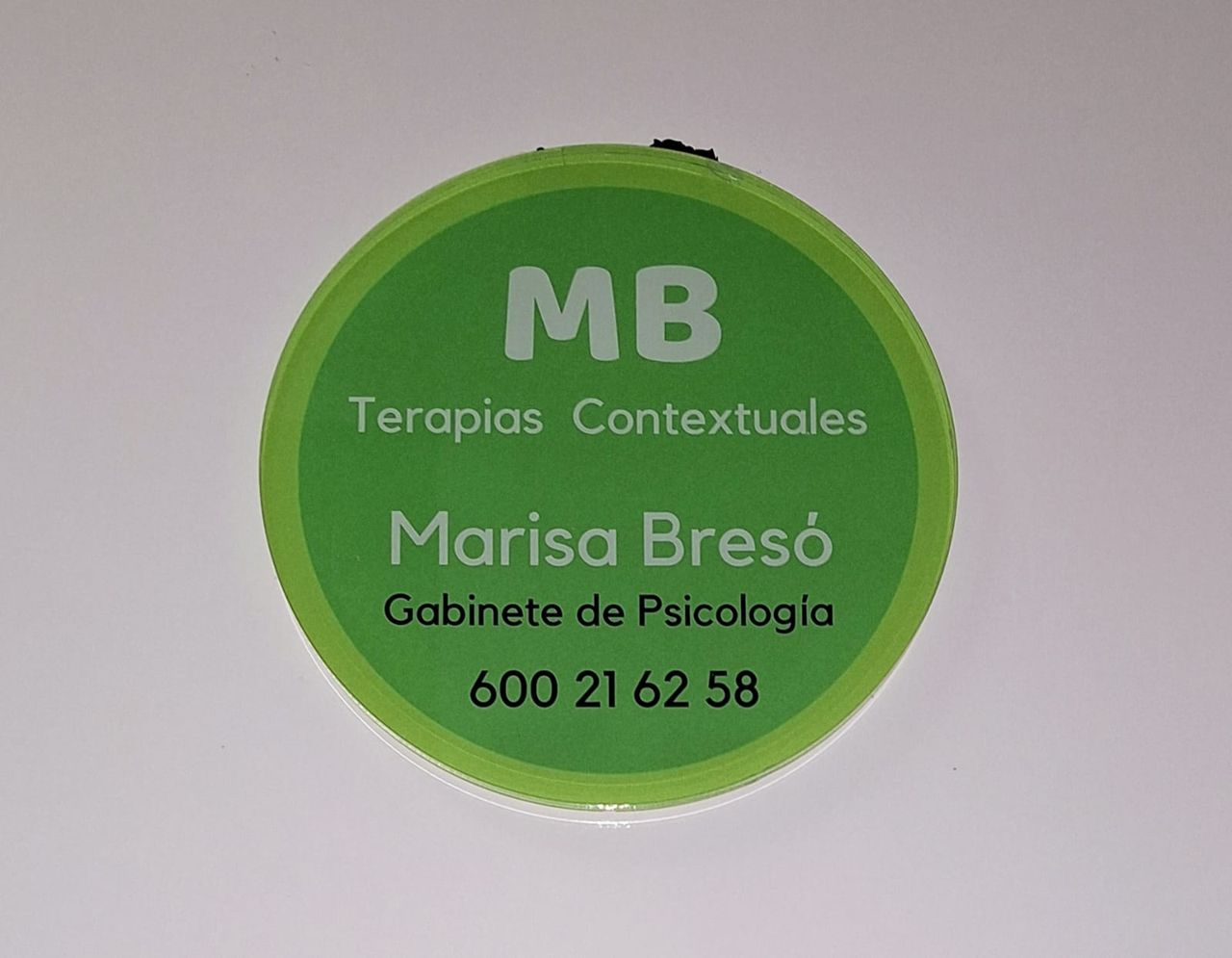 Mª Luisa Bresó Safont-5