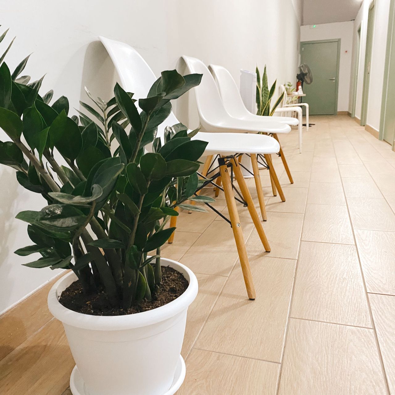 Elena O'neill Tarquis-2