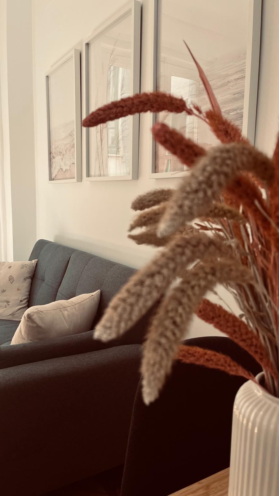 Claudia Muñoz Montes-3