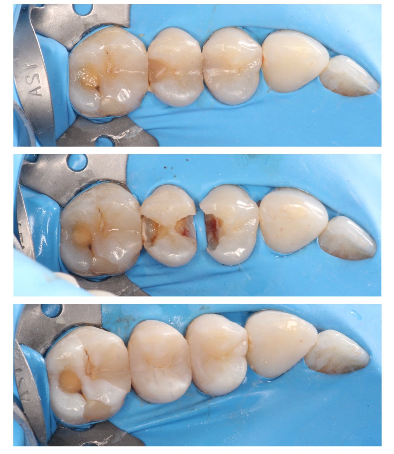 Agnieszka Ciesielska-4