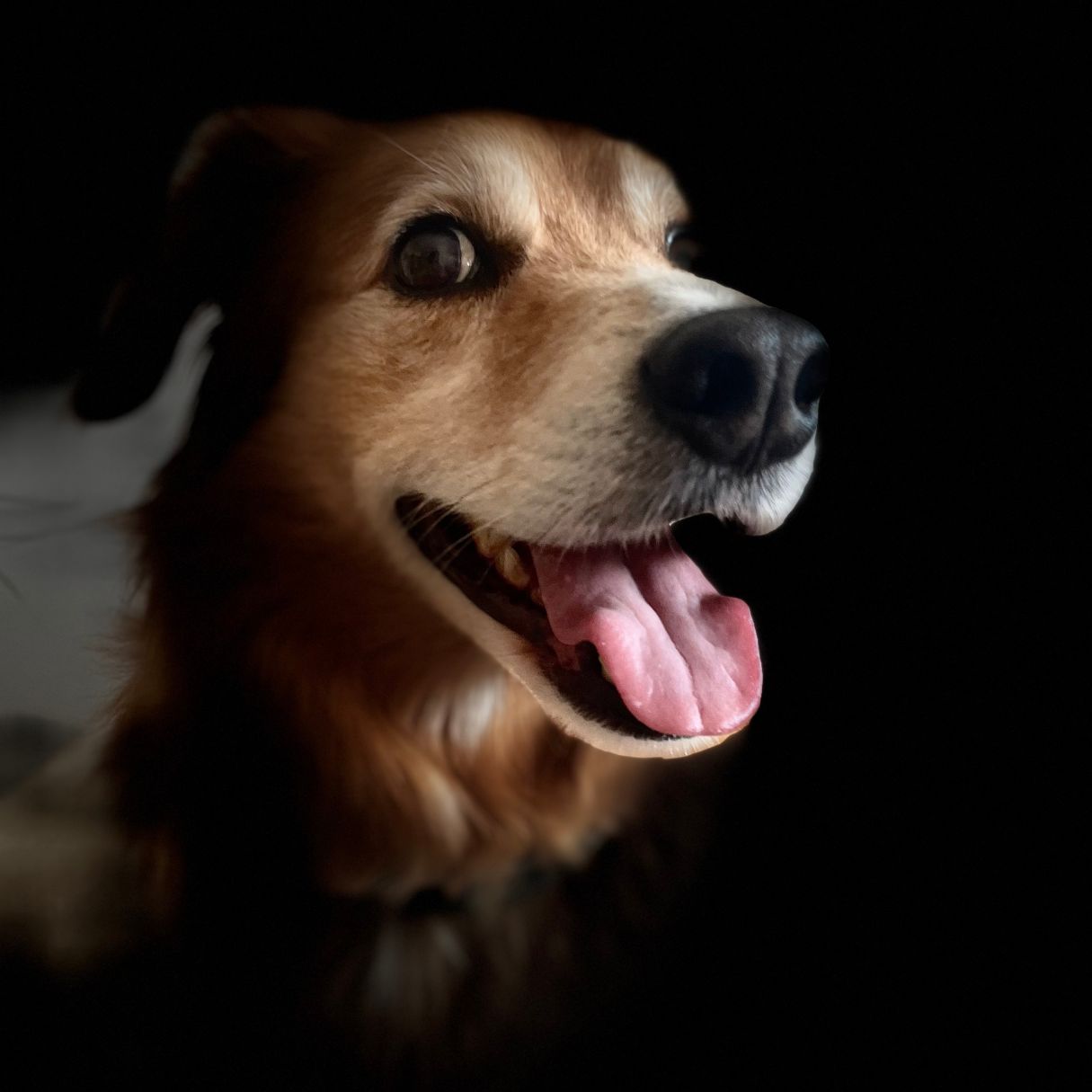 Patricia Gutiérrez Isla-4