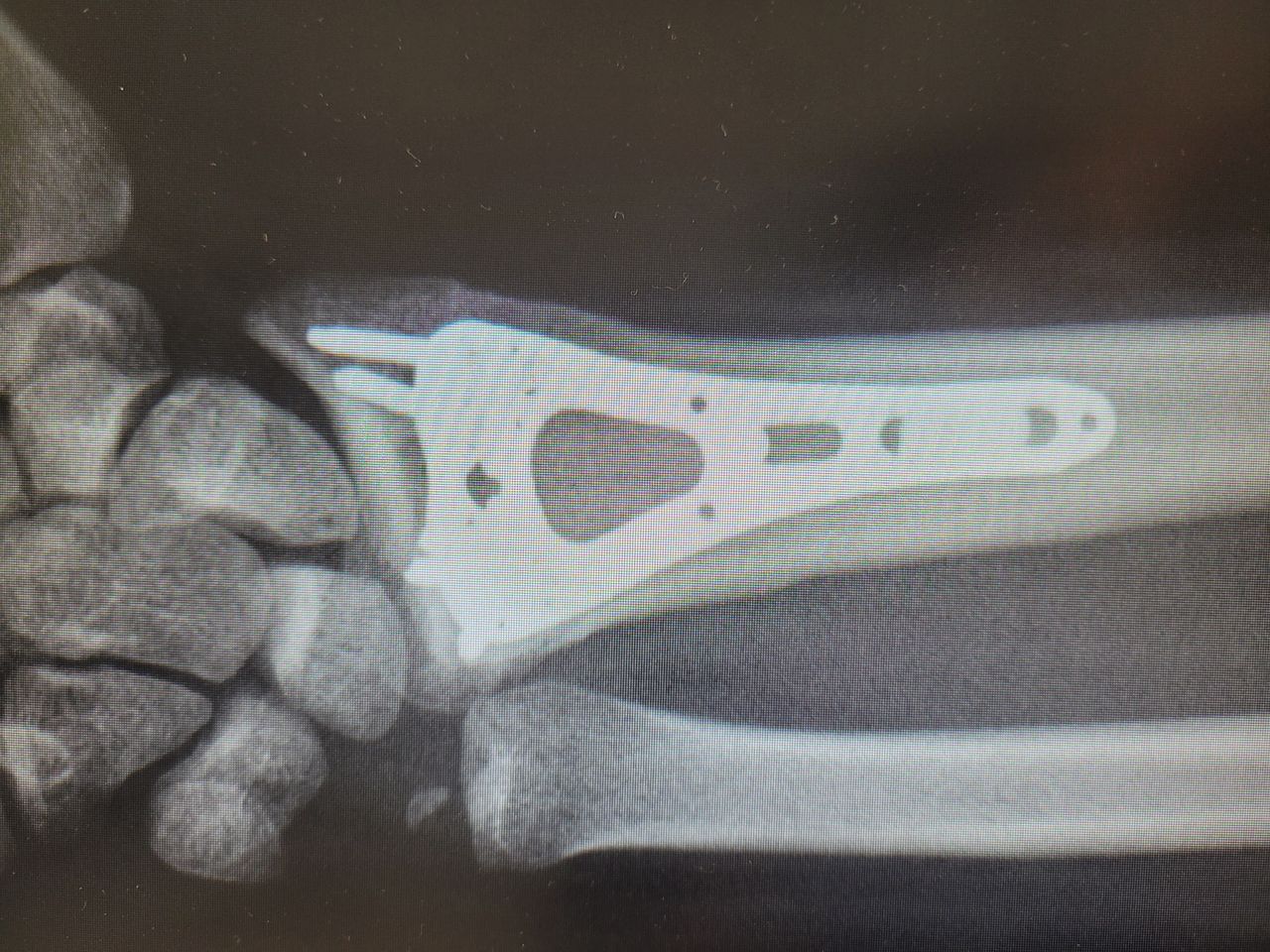 Mateusz Orzechowski-3