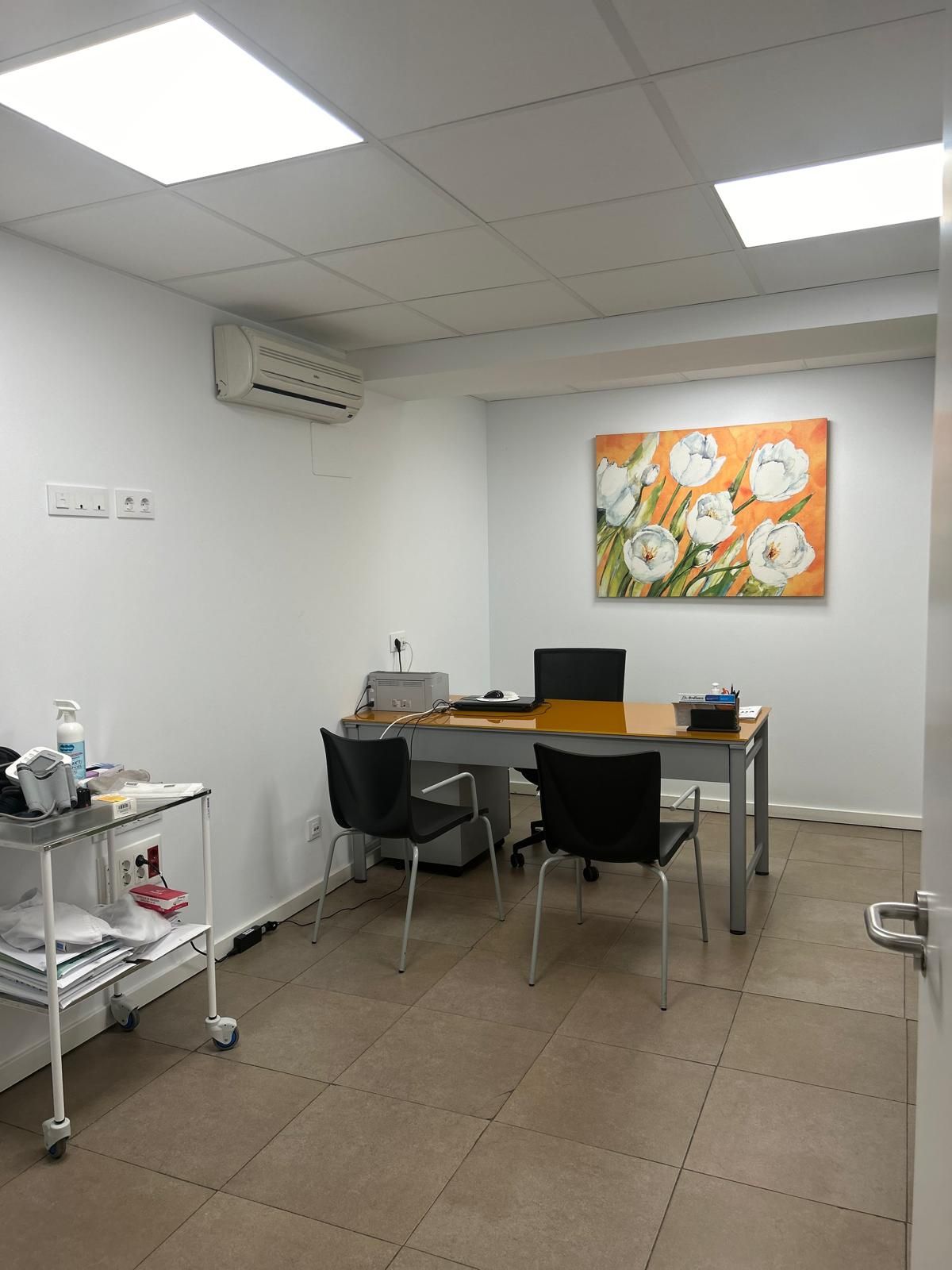 Ana Sedeño Vidal-12