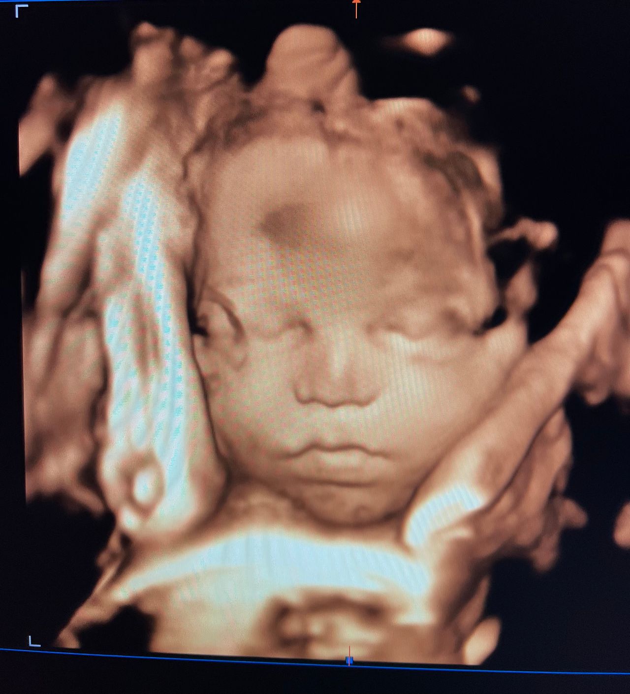 Francesca Dessolis-5