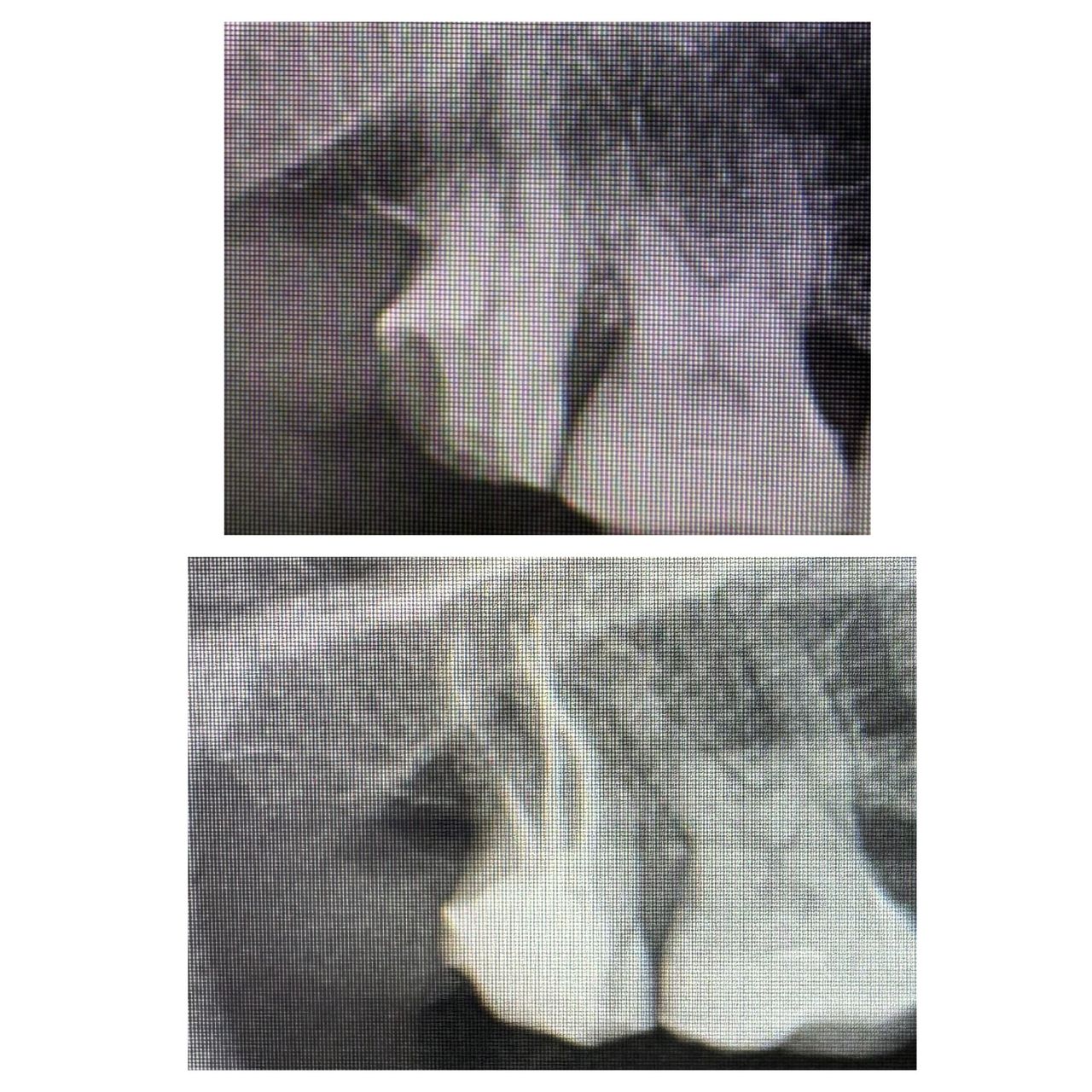 Maria Grazia Diaferia-32