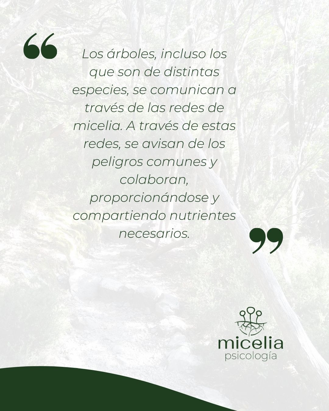 Carolina Martín Vázquez-9