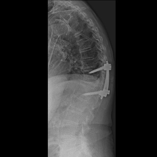 Valerio Cipolloni-31