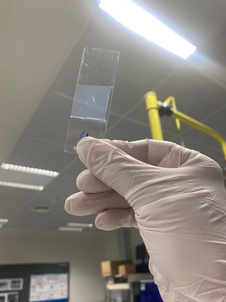 Dzmitry Mikhalkovich-1