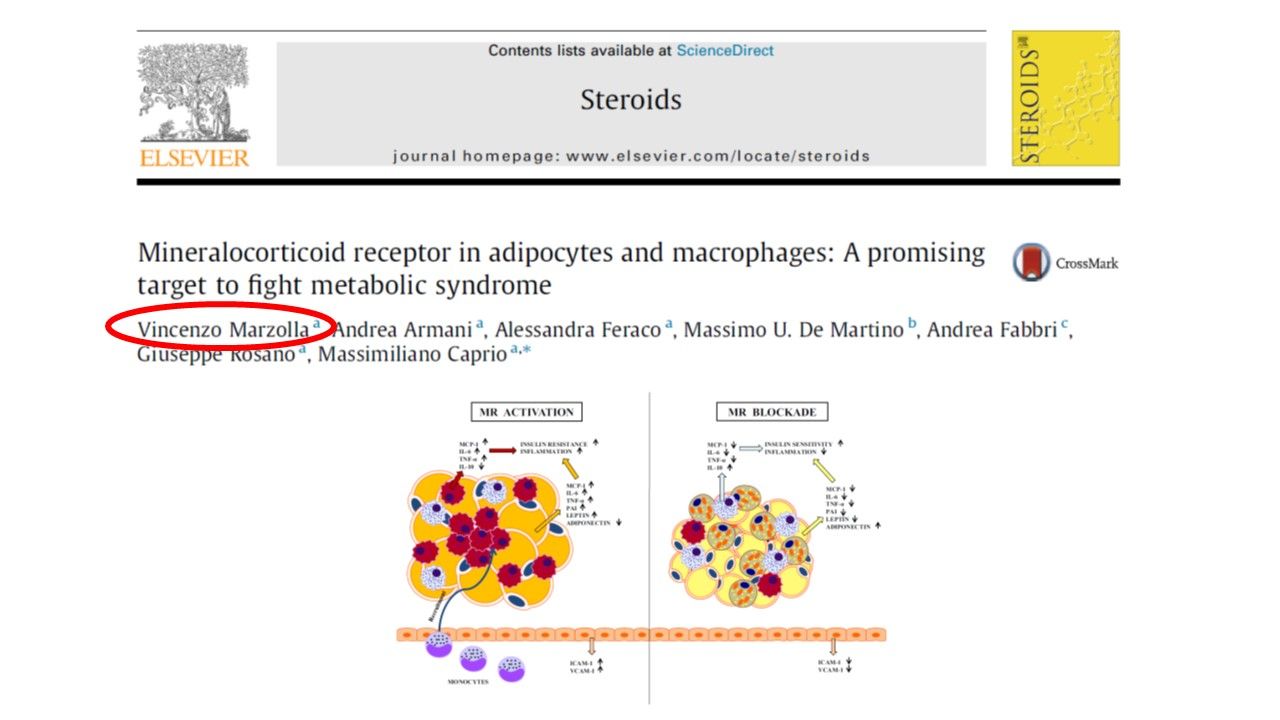 Vincenzo Marzolla-17
