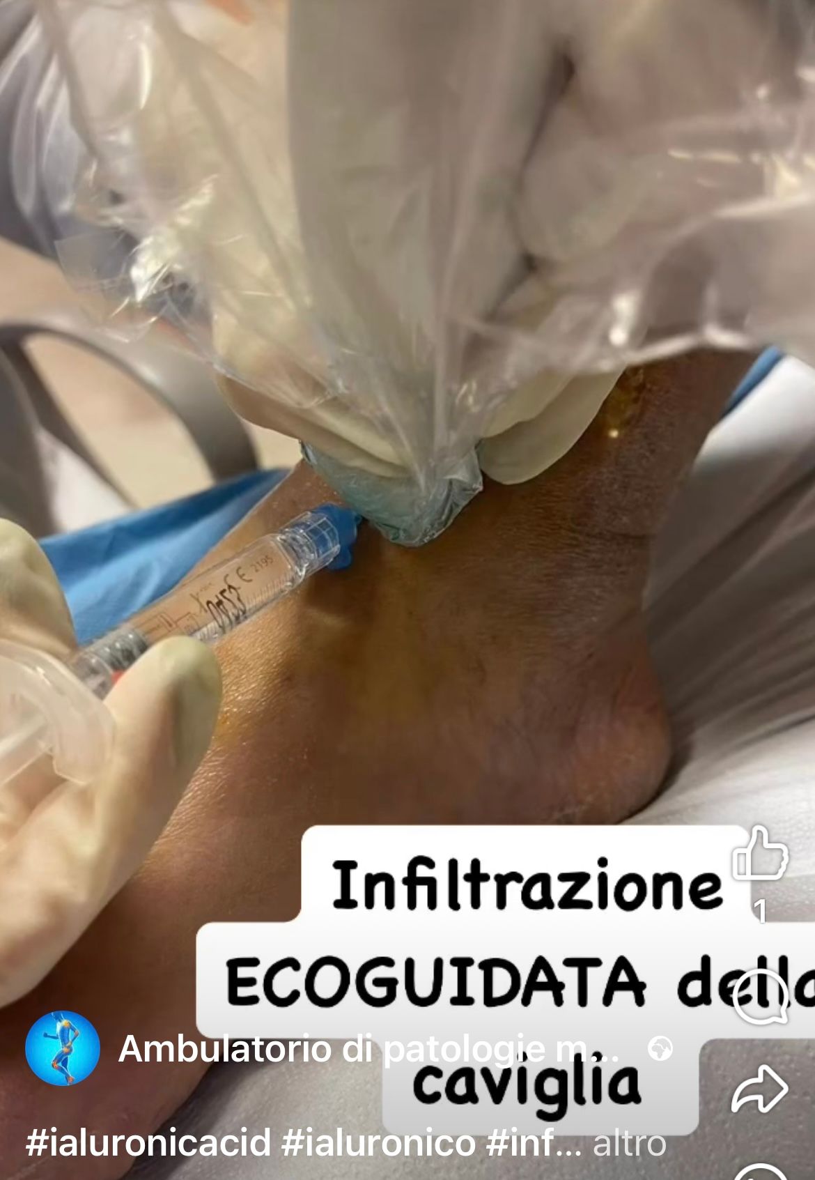 Maria Chiara Morgano-5