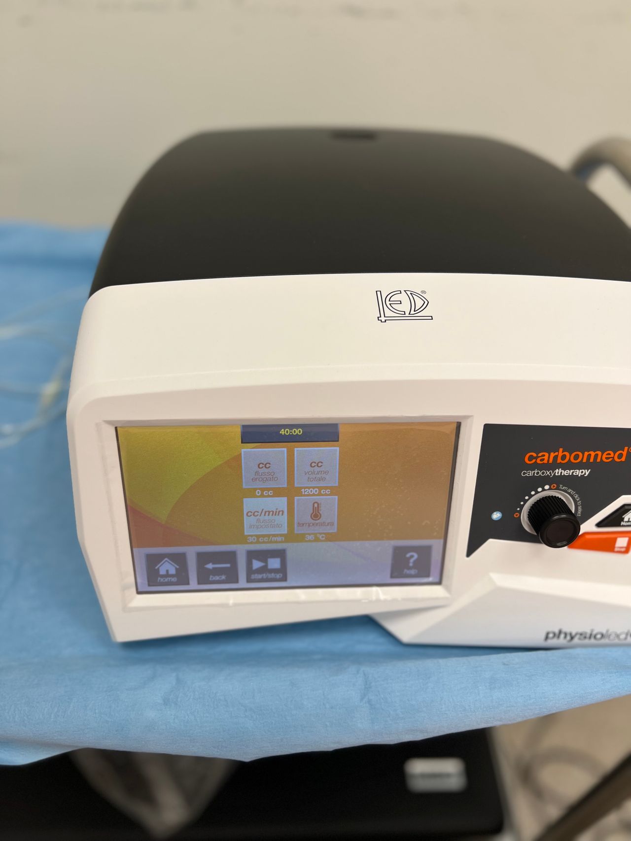 Mariaelena Maurino-3