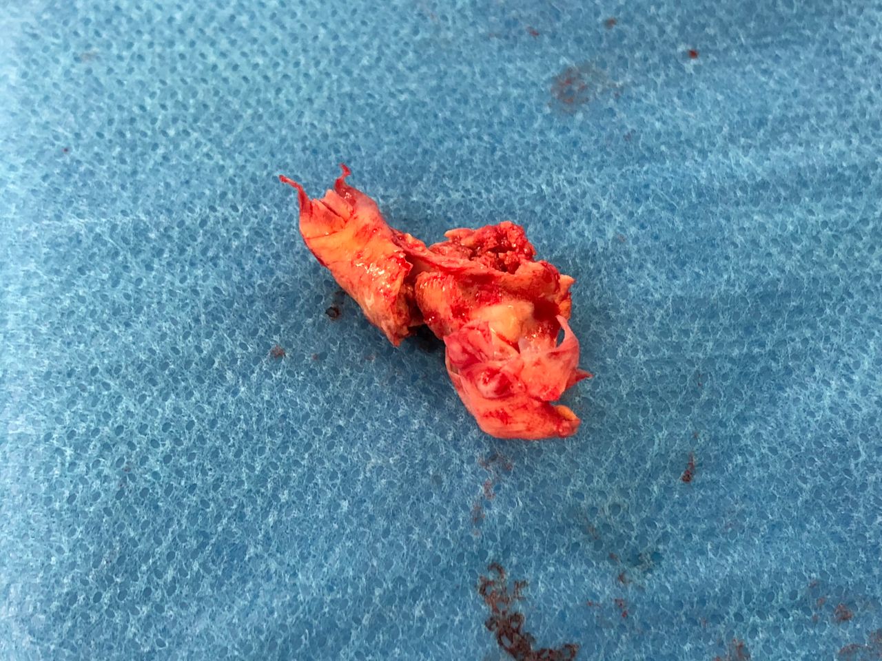 Francesco De Santis-15