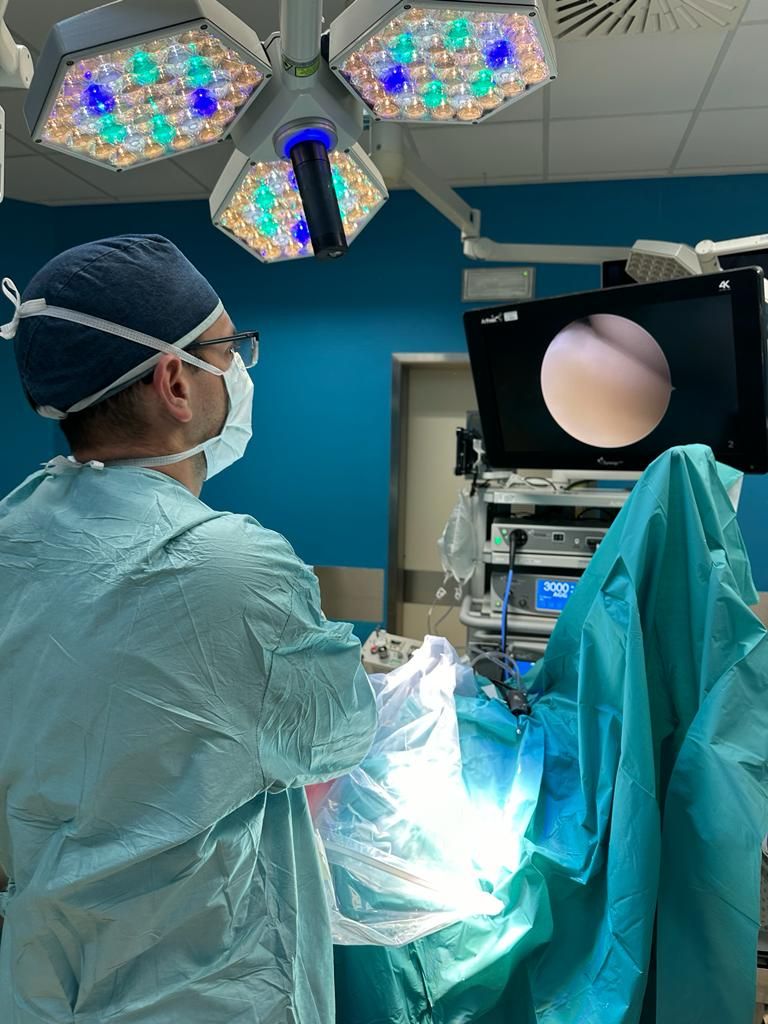 Alessandro Ortolani-4